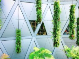 Building a Greener Future: Fresh Directions in Sustainable Design