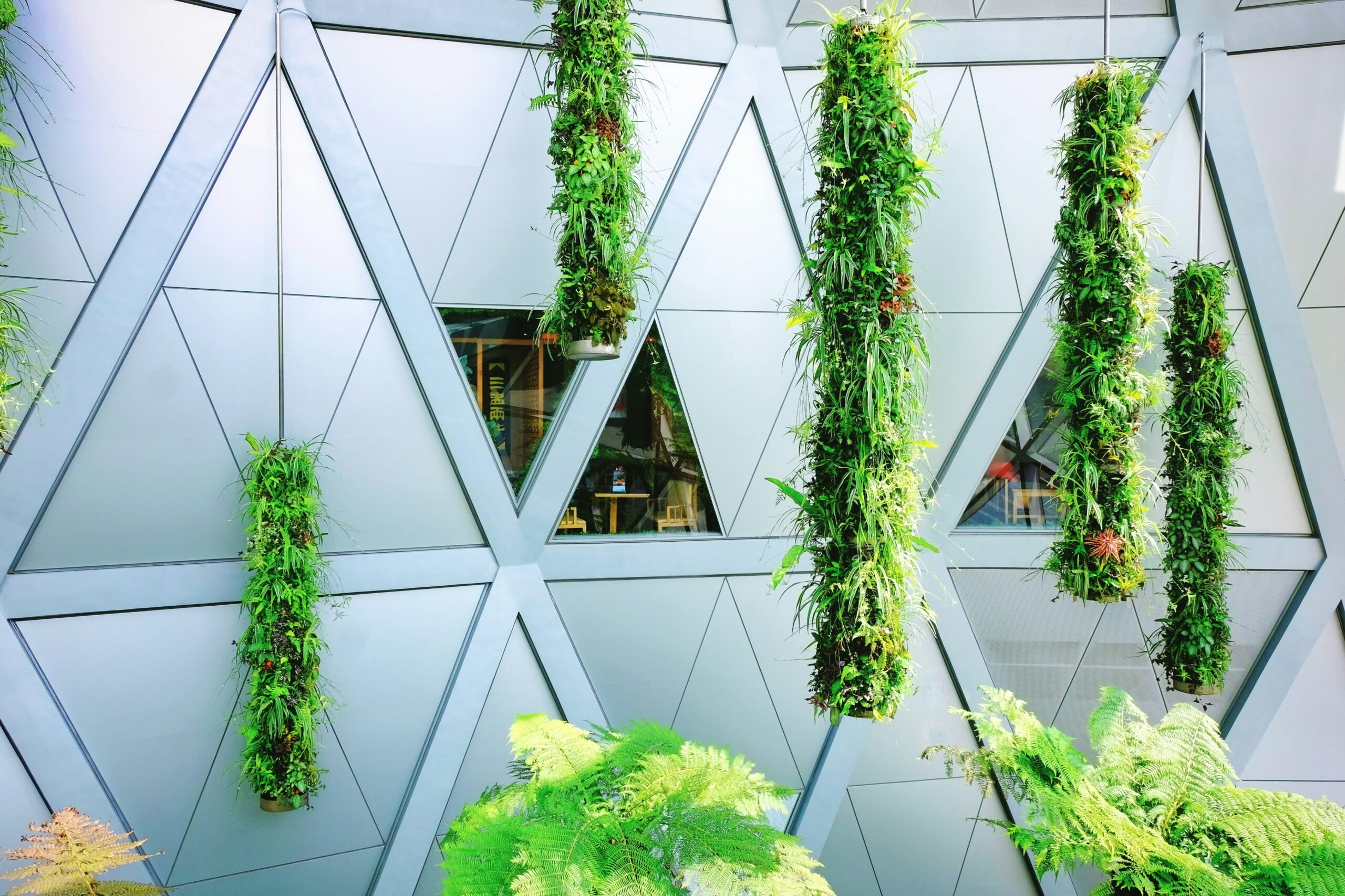 Building a Greener Future: Fresh Directions in Sustainable Design
